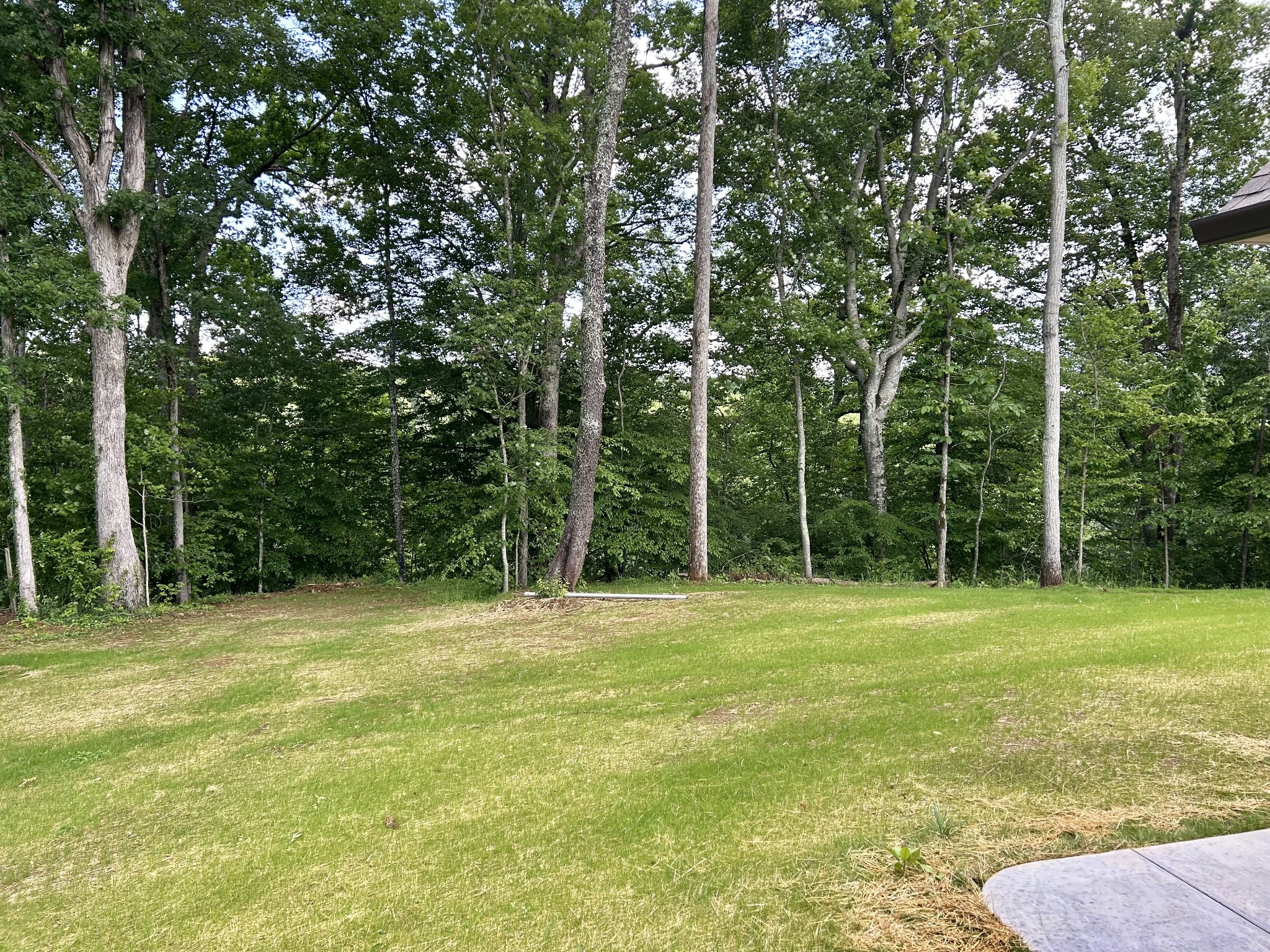 112 Beechwood Drive Property Photo 23