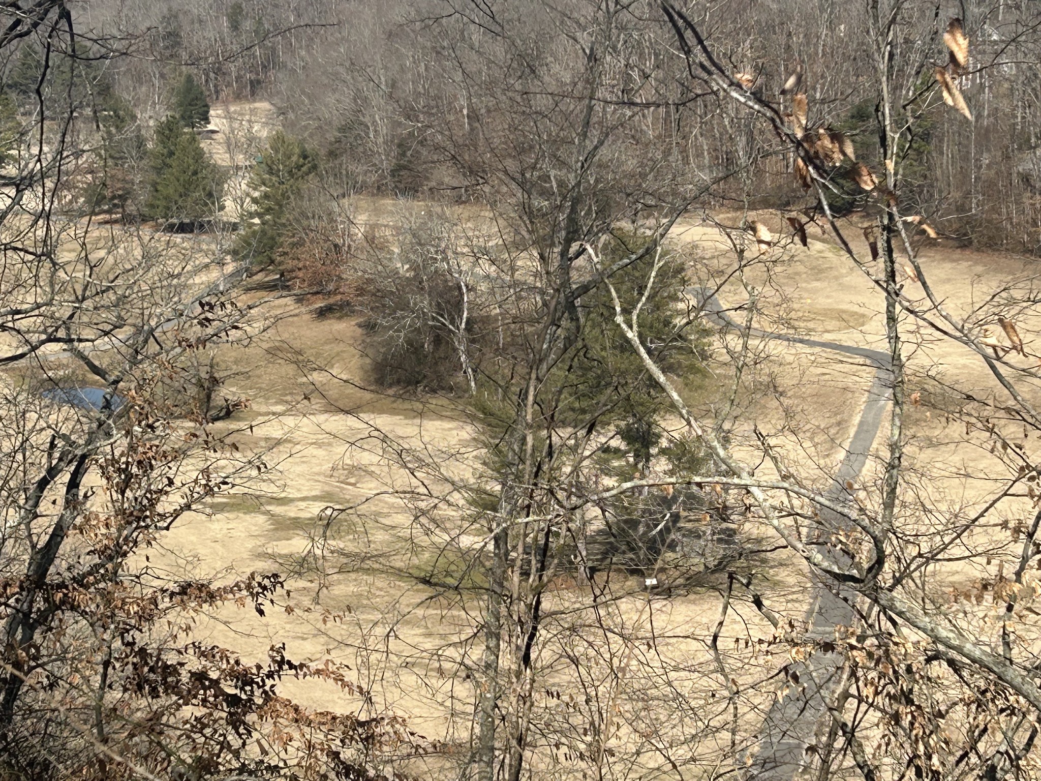 112 Beechwood Drive Property Photo 28