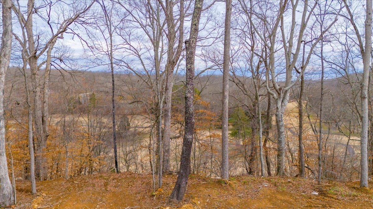 112 Beechwood Drive Property Photo 29