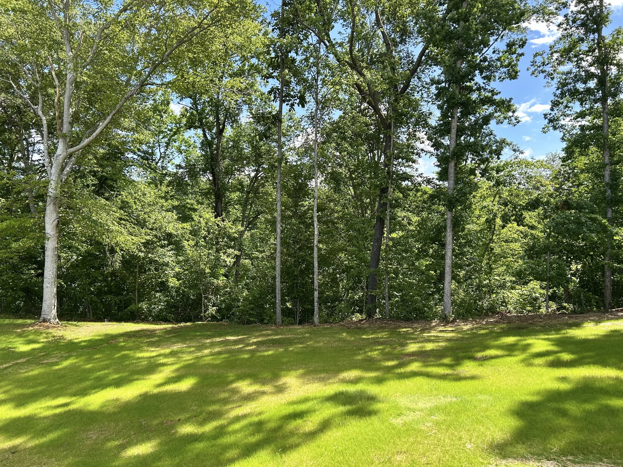92 Beechwood Drive Property Photo 32