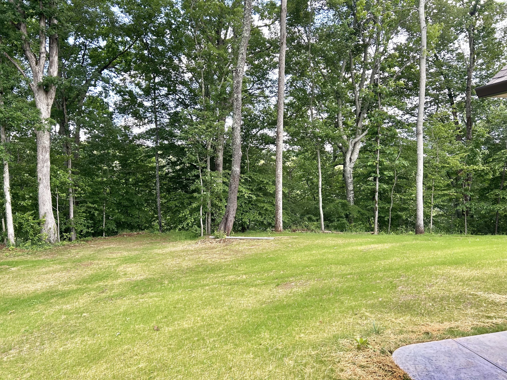 92 Beechwood Drive Property Photo 33