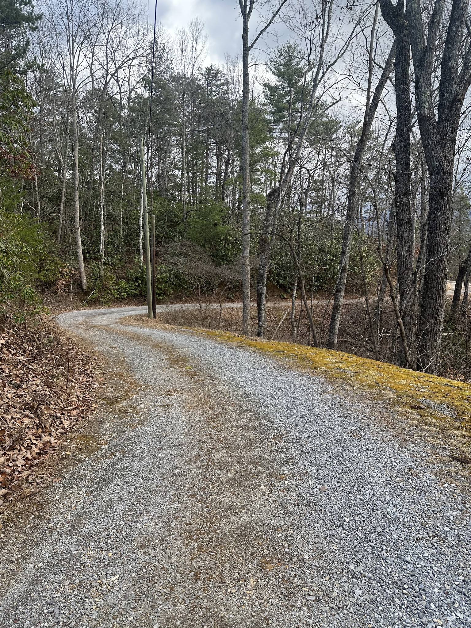 1137 Old Cartertown Rd Property Photo 22