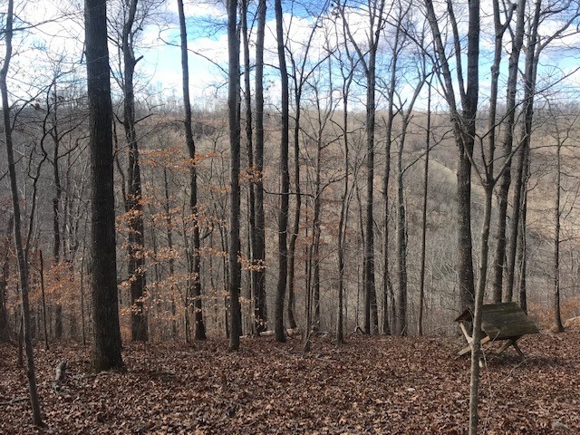 8 Rocky Top Property Photo 2