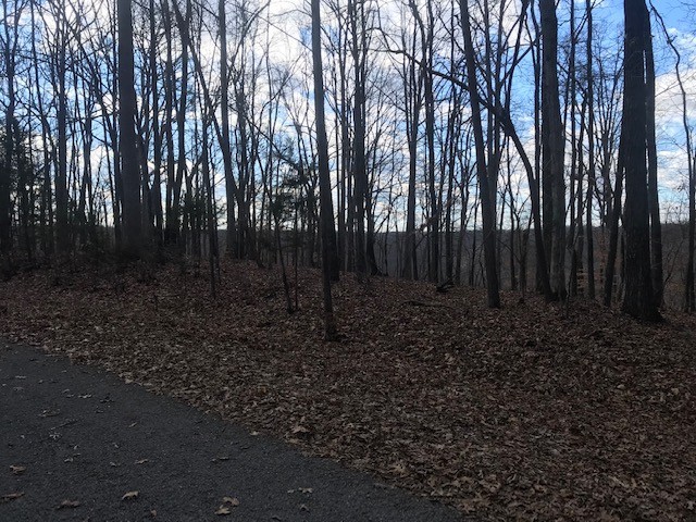 8 Rocky Top Property Photo 3