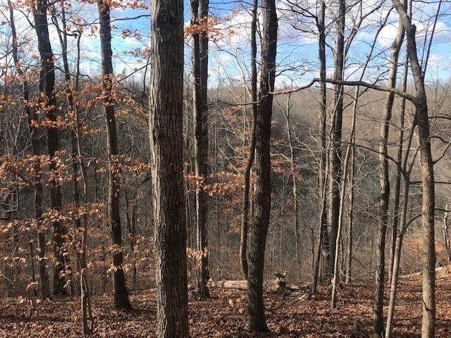 8 Rocky Top Property Photo 4