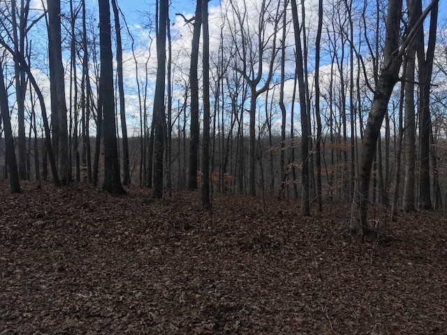 8 Rocky Top Property Photo 5