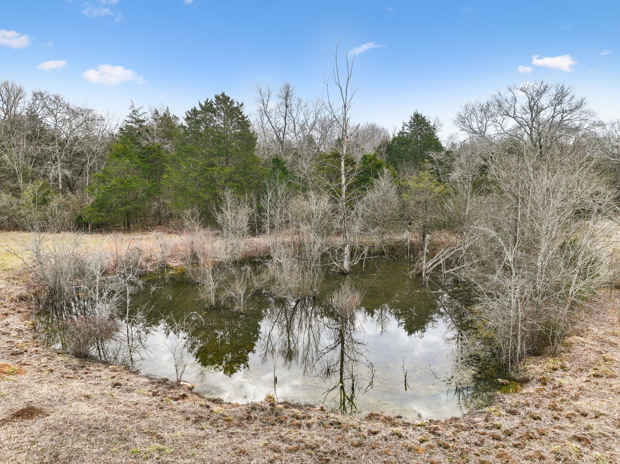 0 Joe Peay Rd Property Photo 9