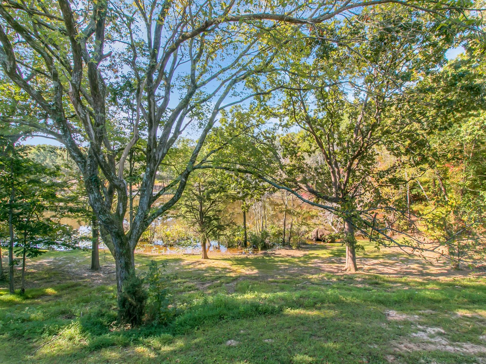 36 Avondale Pl Property Photo 38