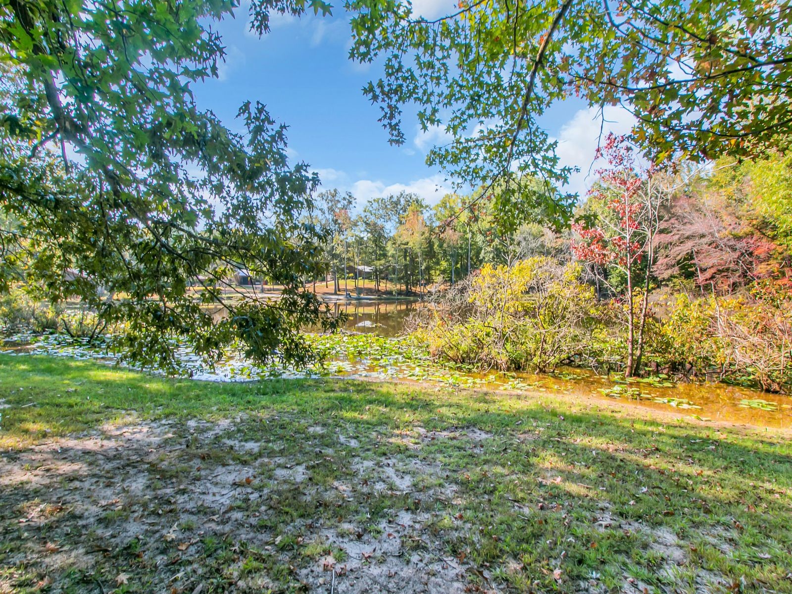 36 Avondale Pl Property Photo 41