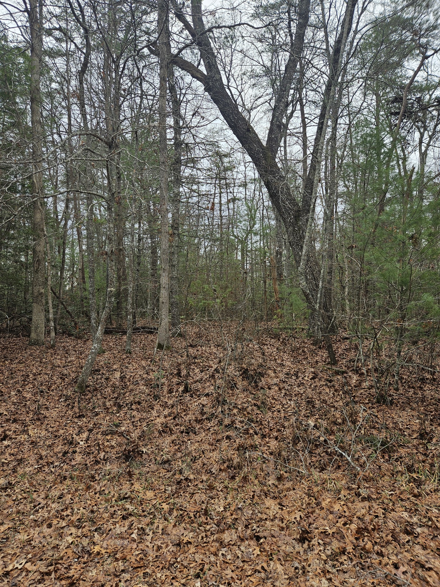 5053 Broken Bow Drive Property Photo 1