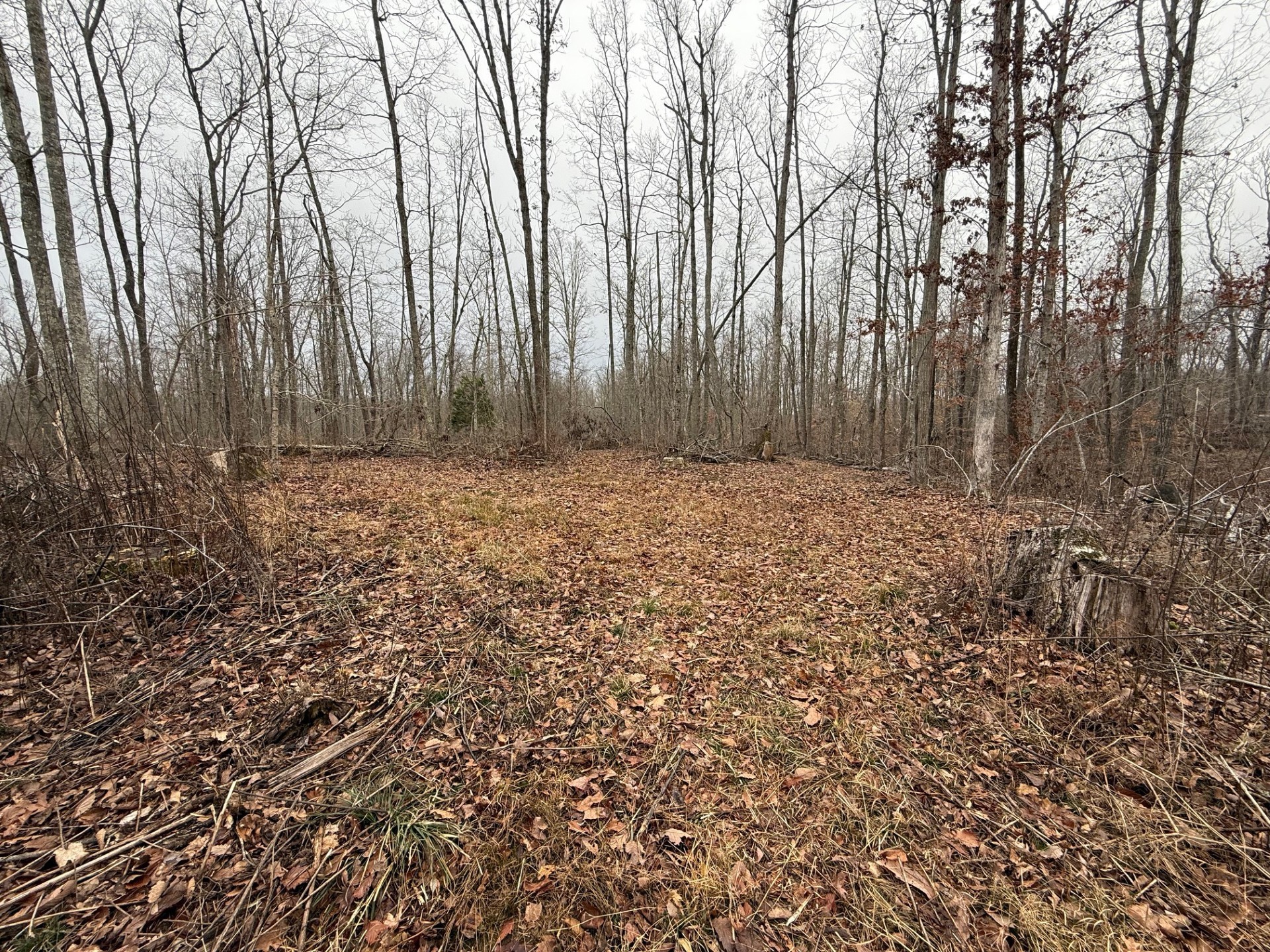 0 Paul Harrell Rd Property Photo 4