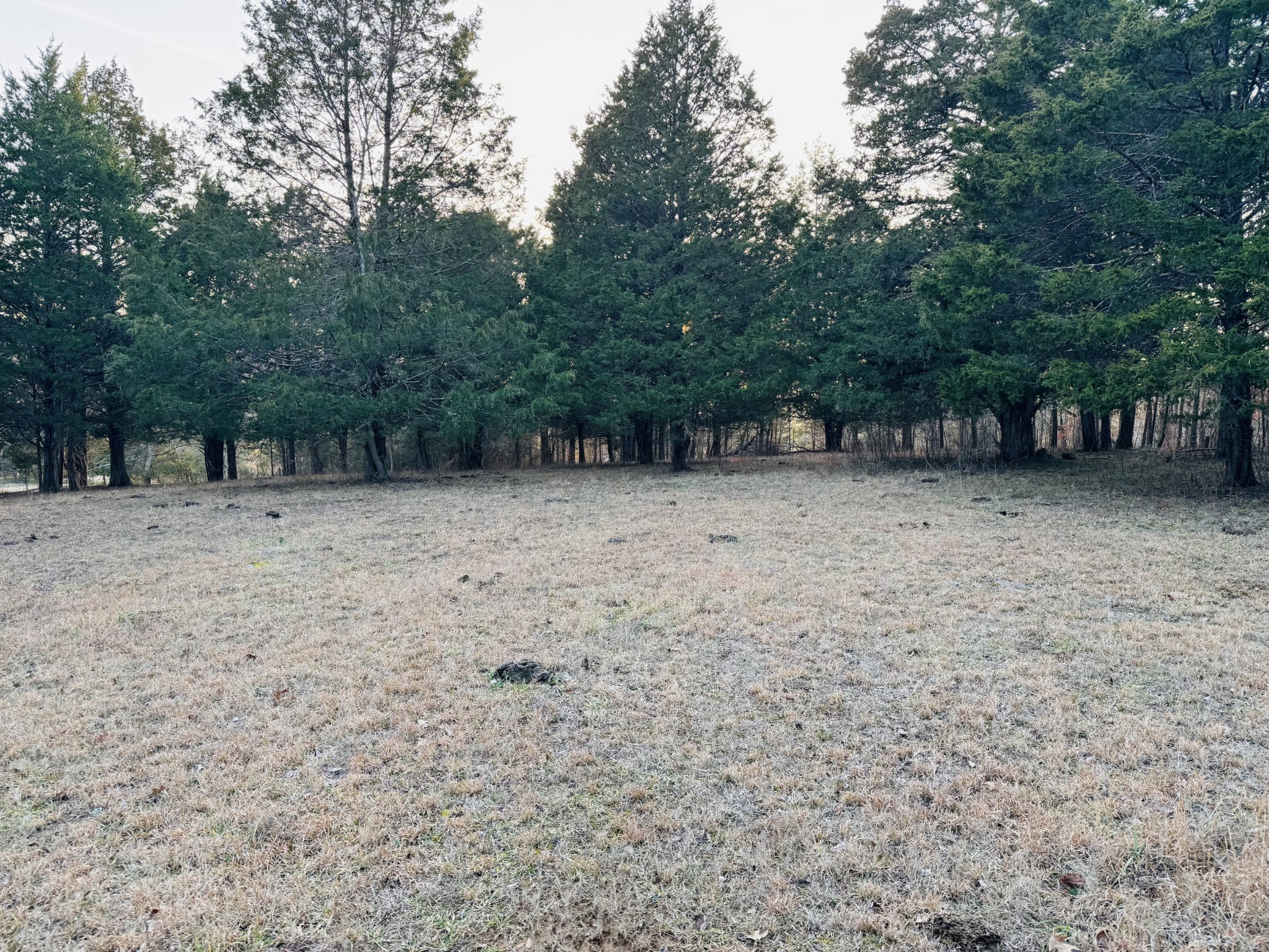 5242 Lunns Store Rd Property Photo 3