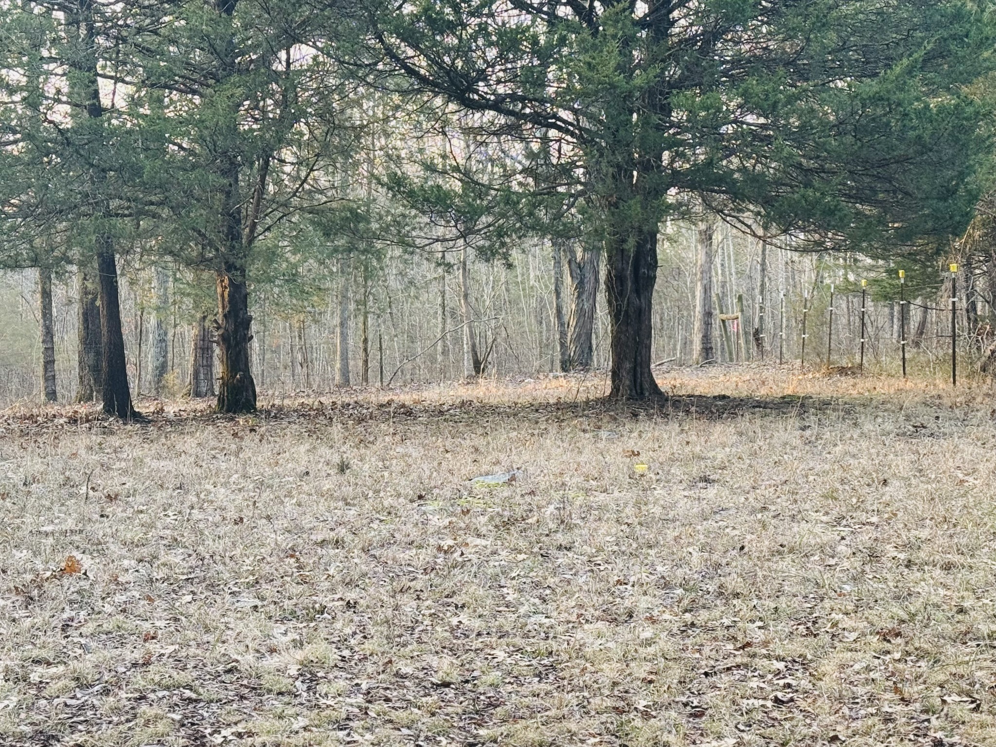 5242 Lunns Store Rd Property Photo 6