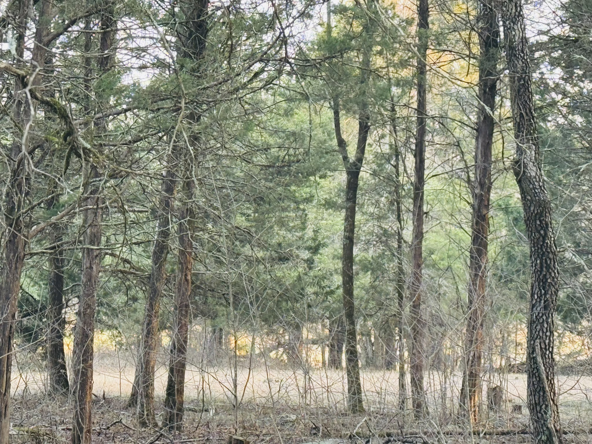 5242 Lunns Store Rd Property Photo 8