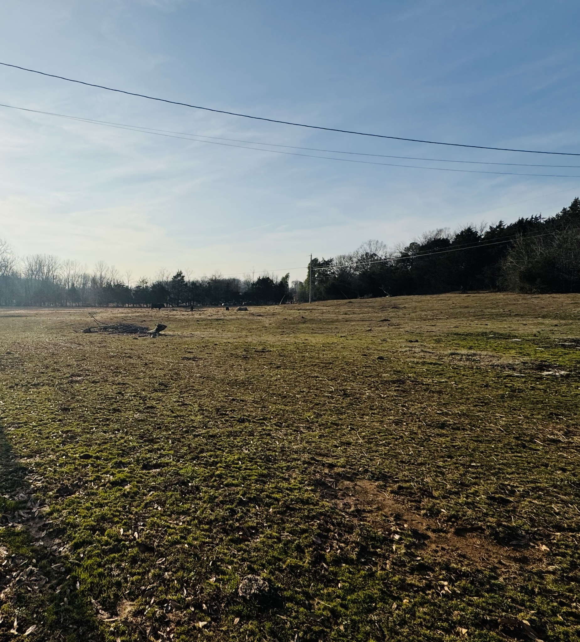 5242 Lunns Store Rd Property Photo 11