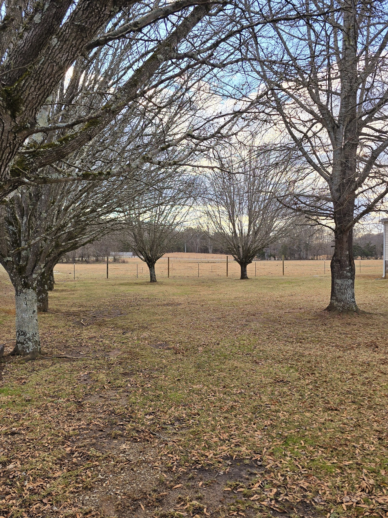 5242 Lunns Store Rd Property Photo 15
