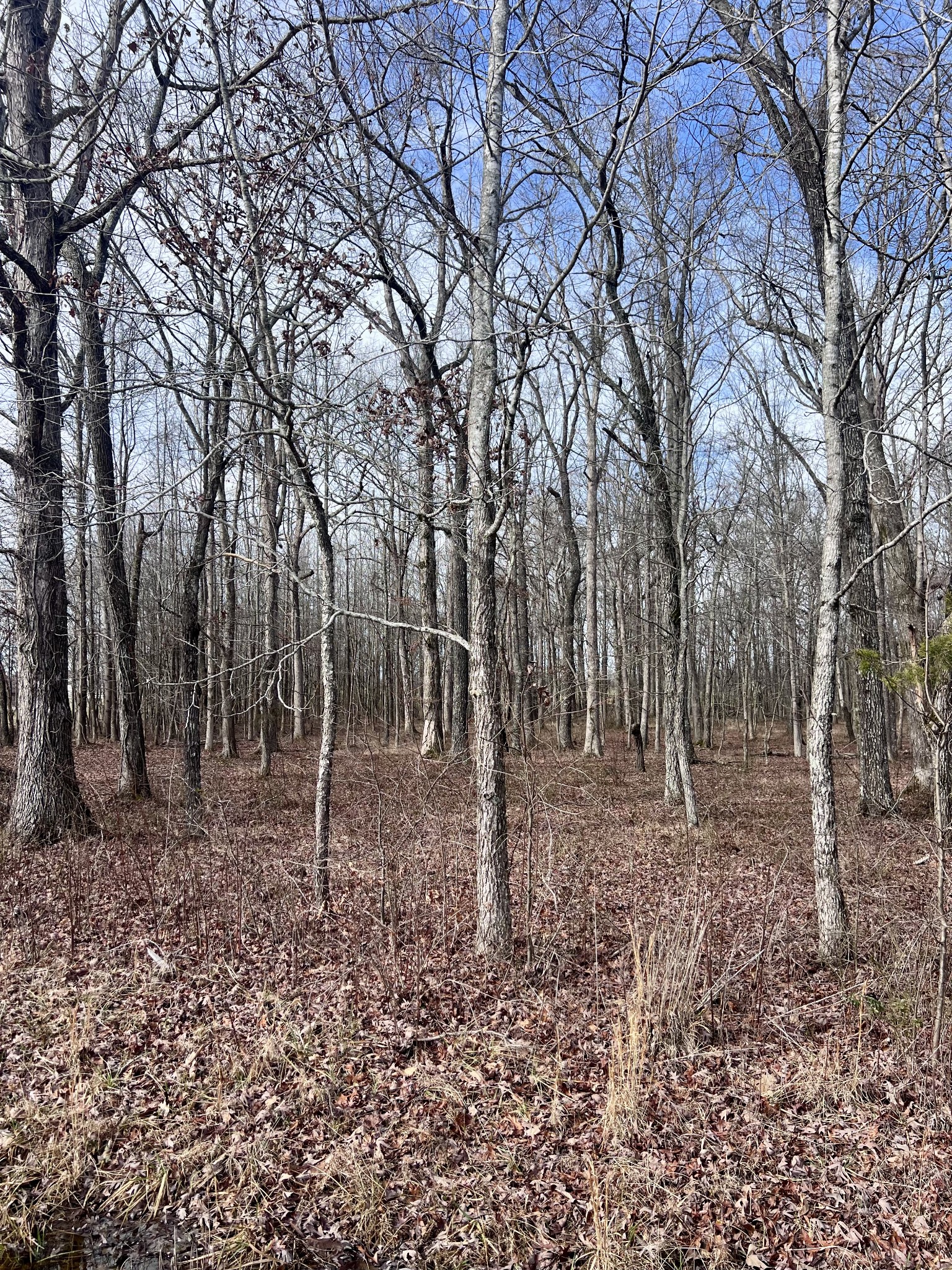 0 Lakewood Park Rd Property Photo