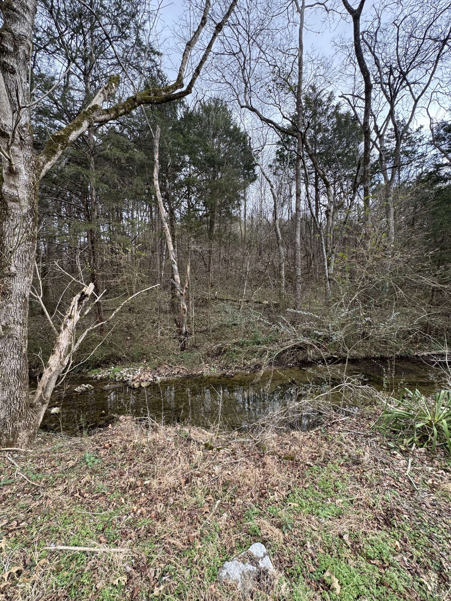 0 Bob Moore Ln Property Photo