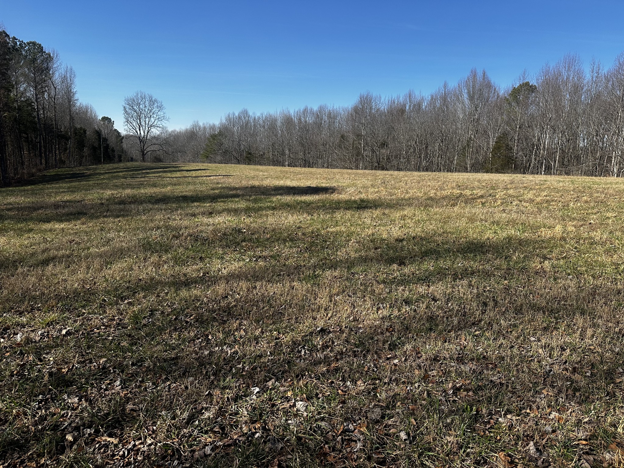 2285a Pleasant Ridge Rd Lnd Property Photo 13