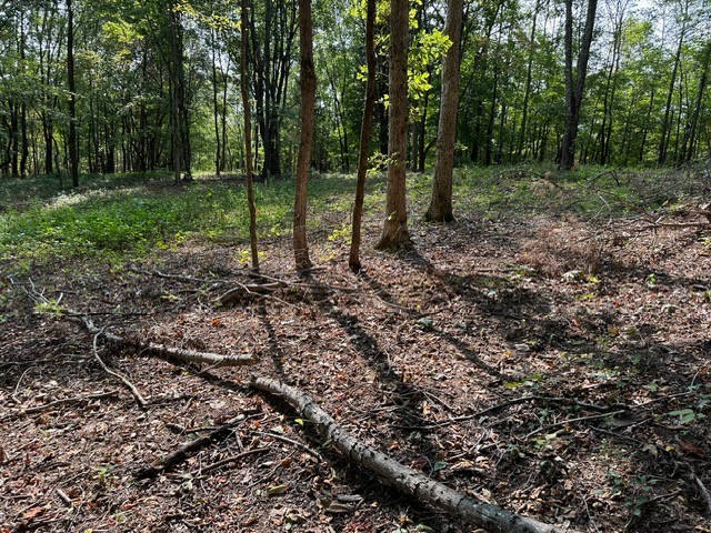0 Primm Springs Rd Property Photo 1