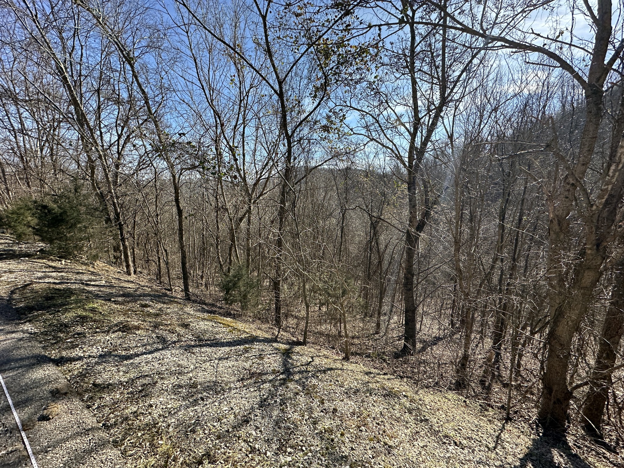 87 Blackberry Ridge Way Property Photo 8