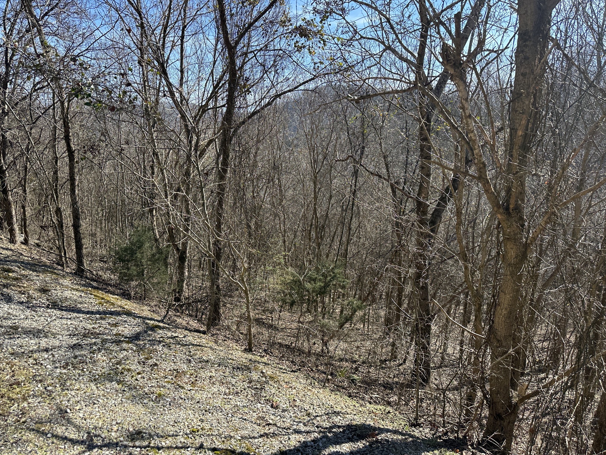 87 Blackberry Ridge Way Property Photo 9