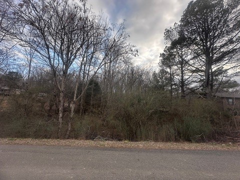 2443 Amber Meadows Property Photo 1