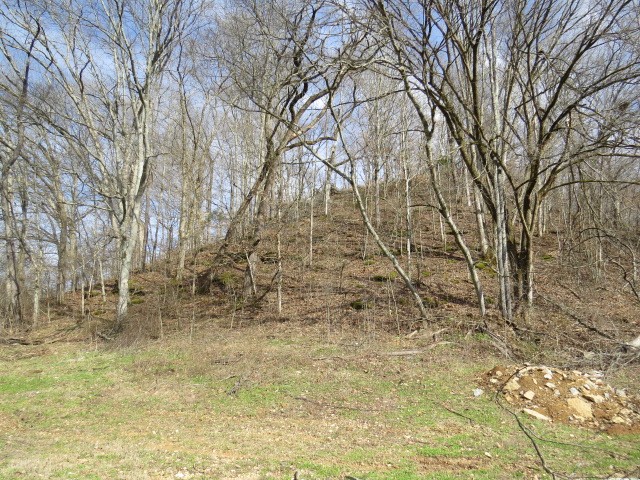 1074 Kersey Hollow Rd Property Photo 27