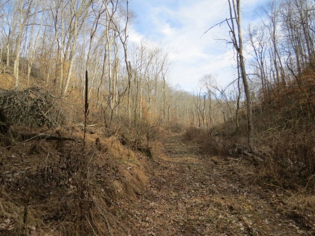 1074 Kersey Hollow Rd Property Photo 29