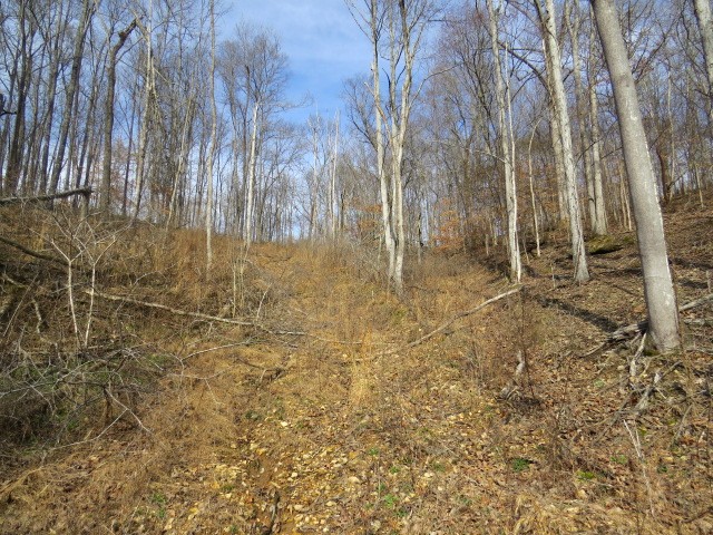 1074 Kersey Hollow Rd Property Photo 30