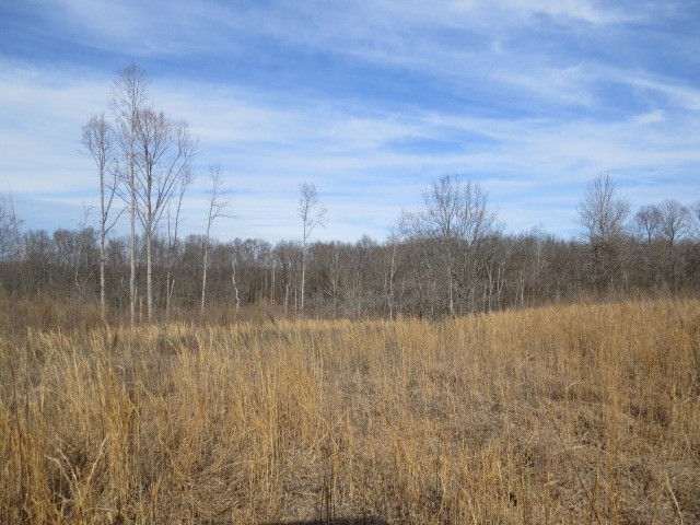 1074 Kersey Hollow Rd Property Photo 32