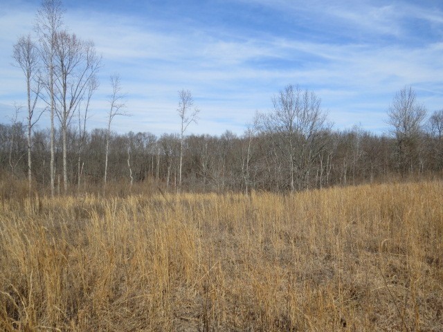 1074 Kersey Hollow Rd Property Photo 33