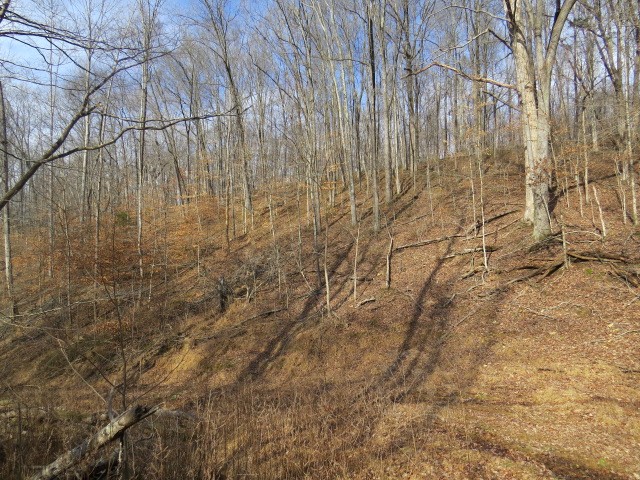 1074 Kersey Hollow Rd Property Photo 36
