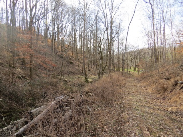 1074 Kersey Hollow Rd Property Photo 37