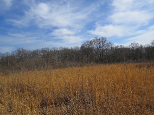 1074 Kersey Hollow Rd Property Photo 38