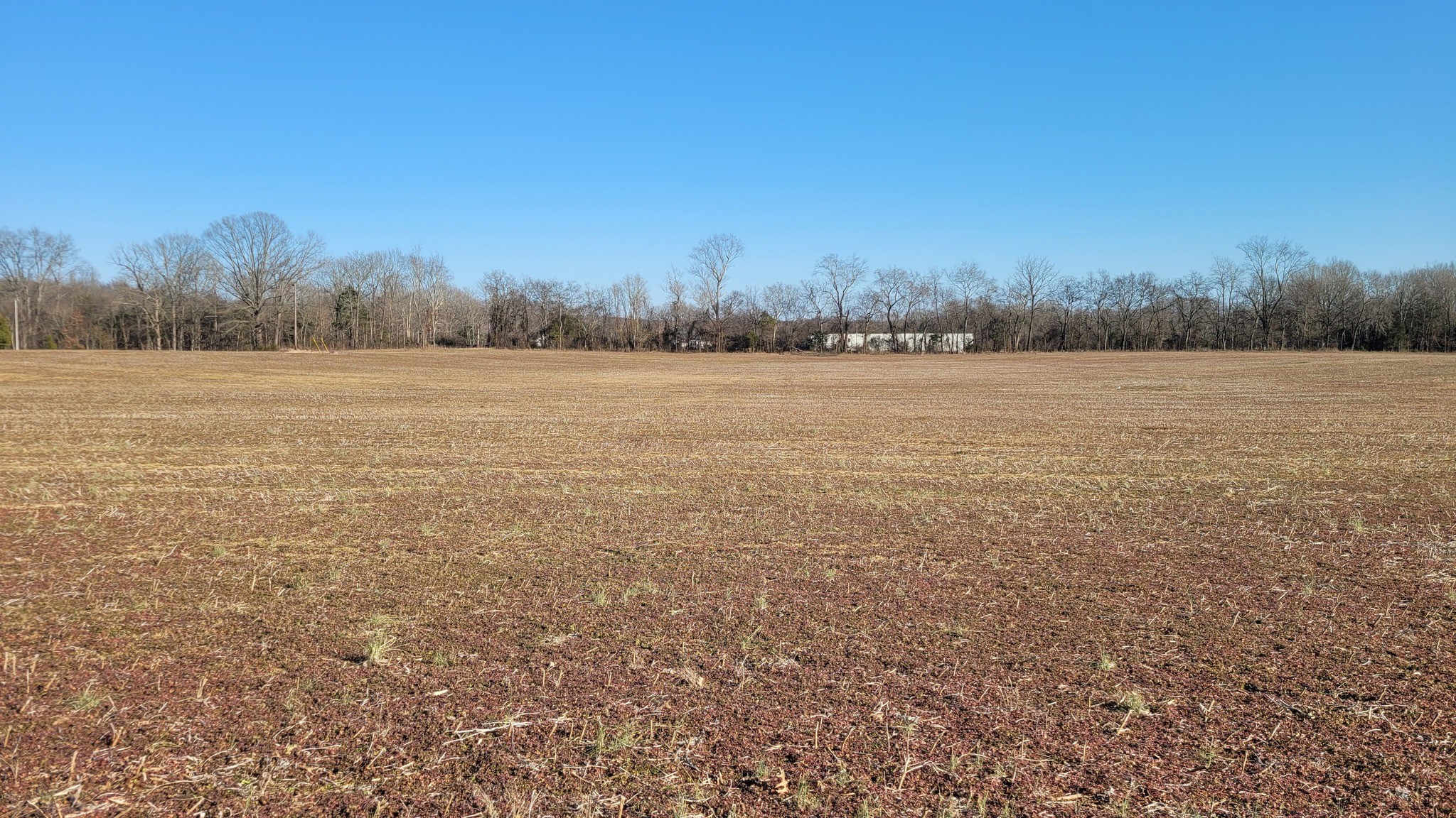 1 Mt Lebanon Church Rd Property Photo 3