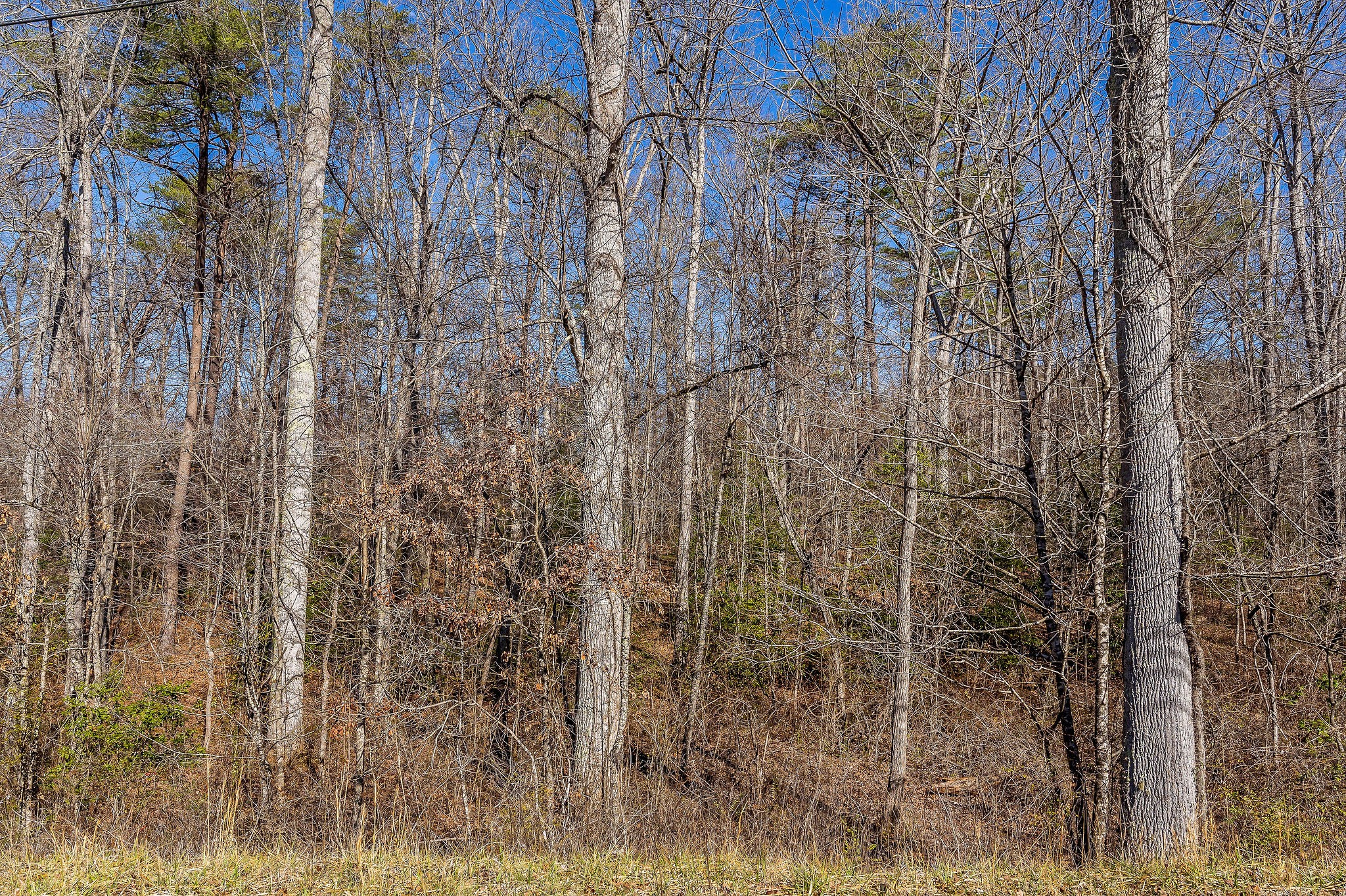 0 Highway 70 Property Photo 16
