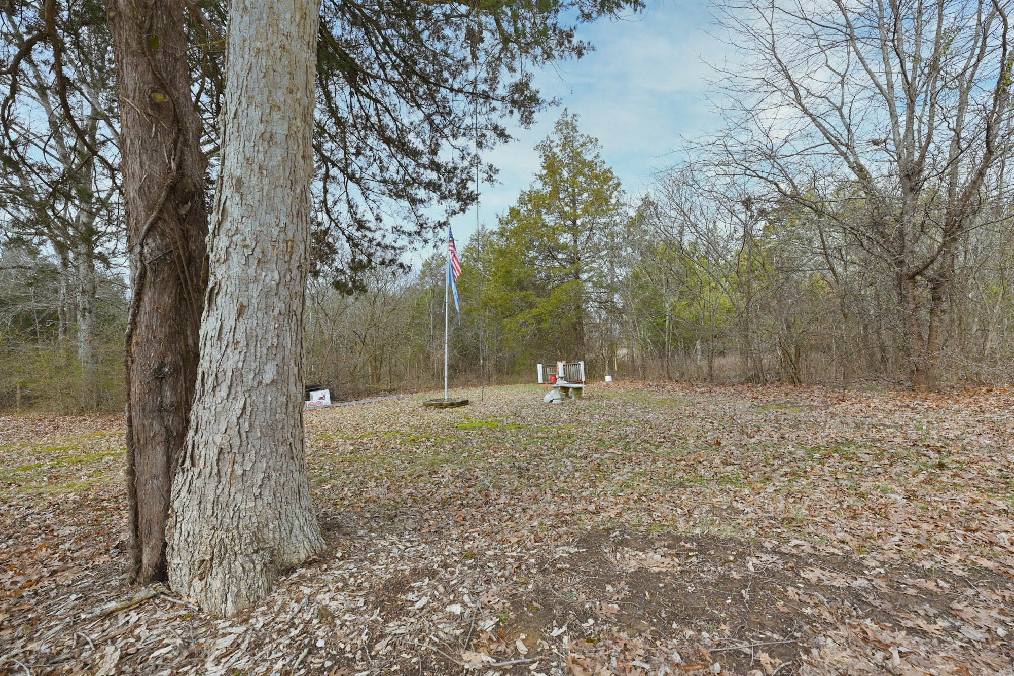 247 Carter Ln Property Photo 5