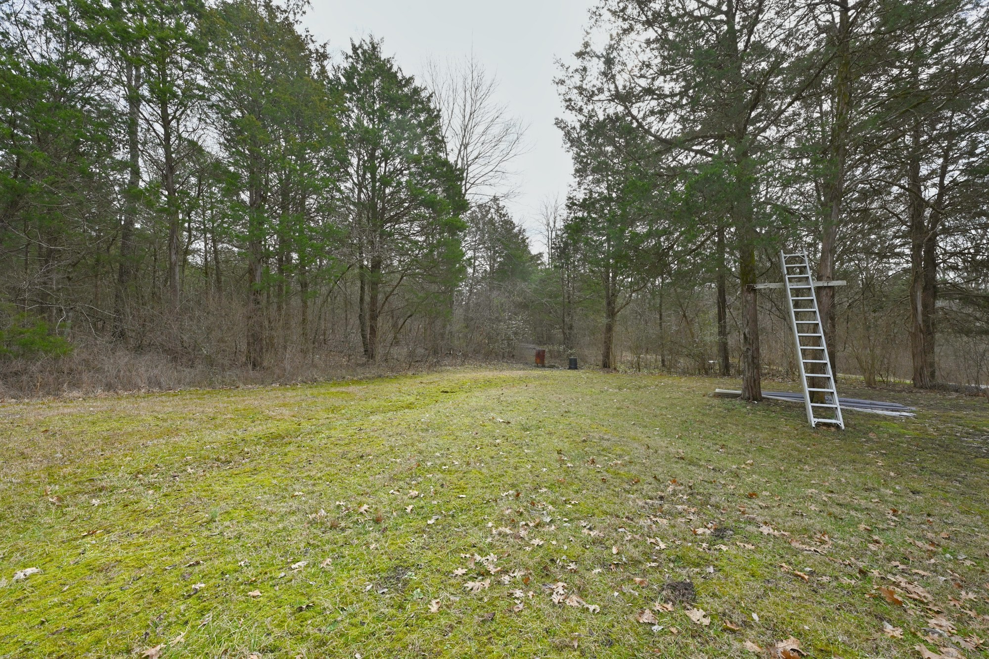 247 Carter Ln Property Photo 6