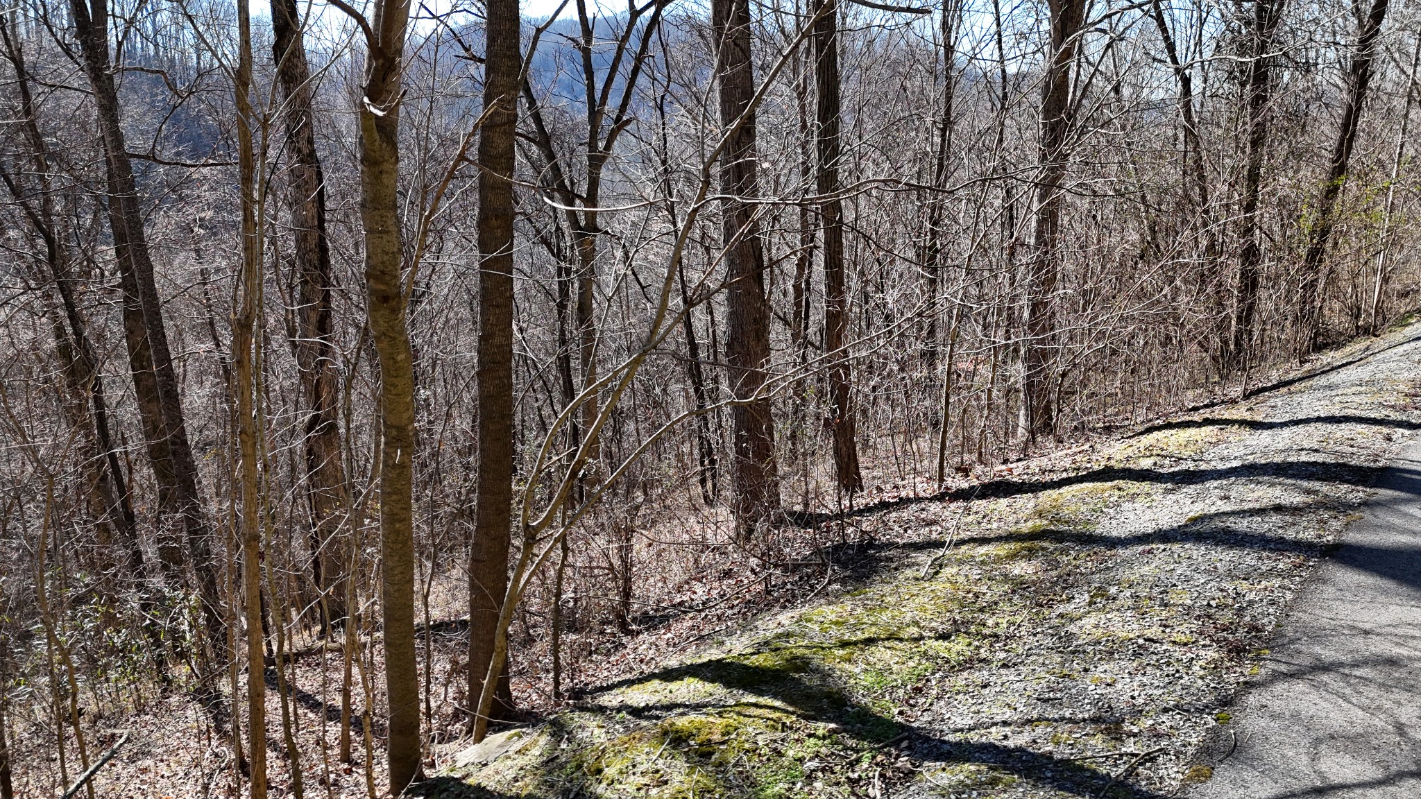 0 Shoreside Drive Property Photo 4