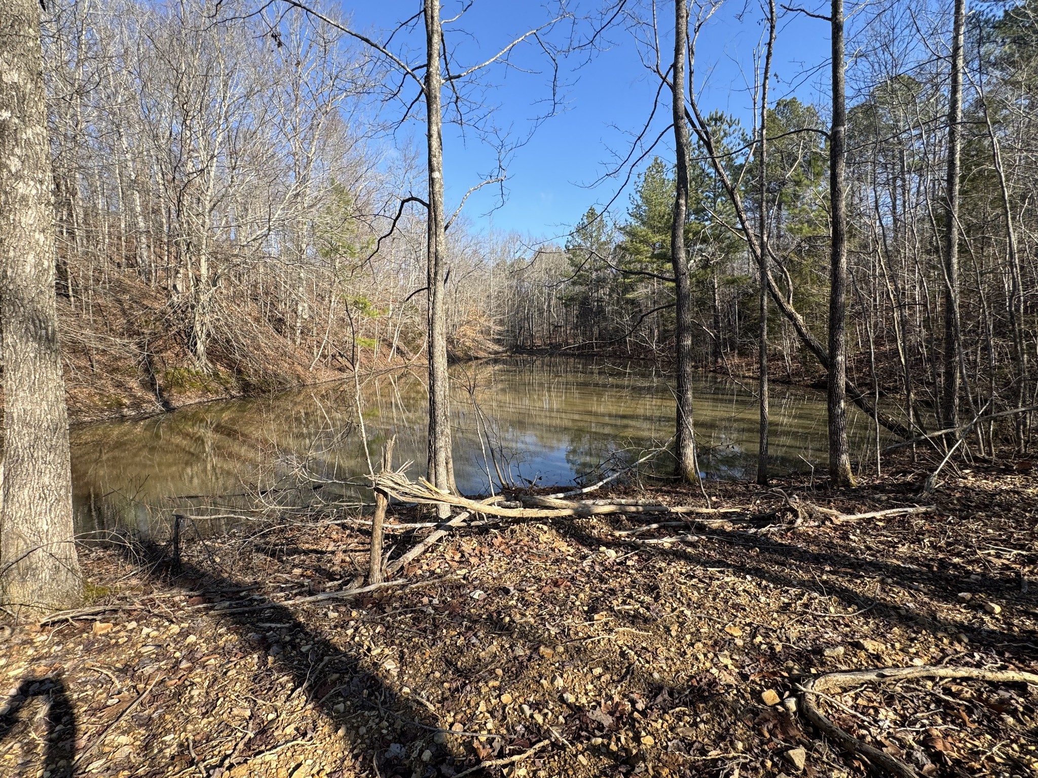 0 Ditney Ridge Property Photo