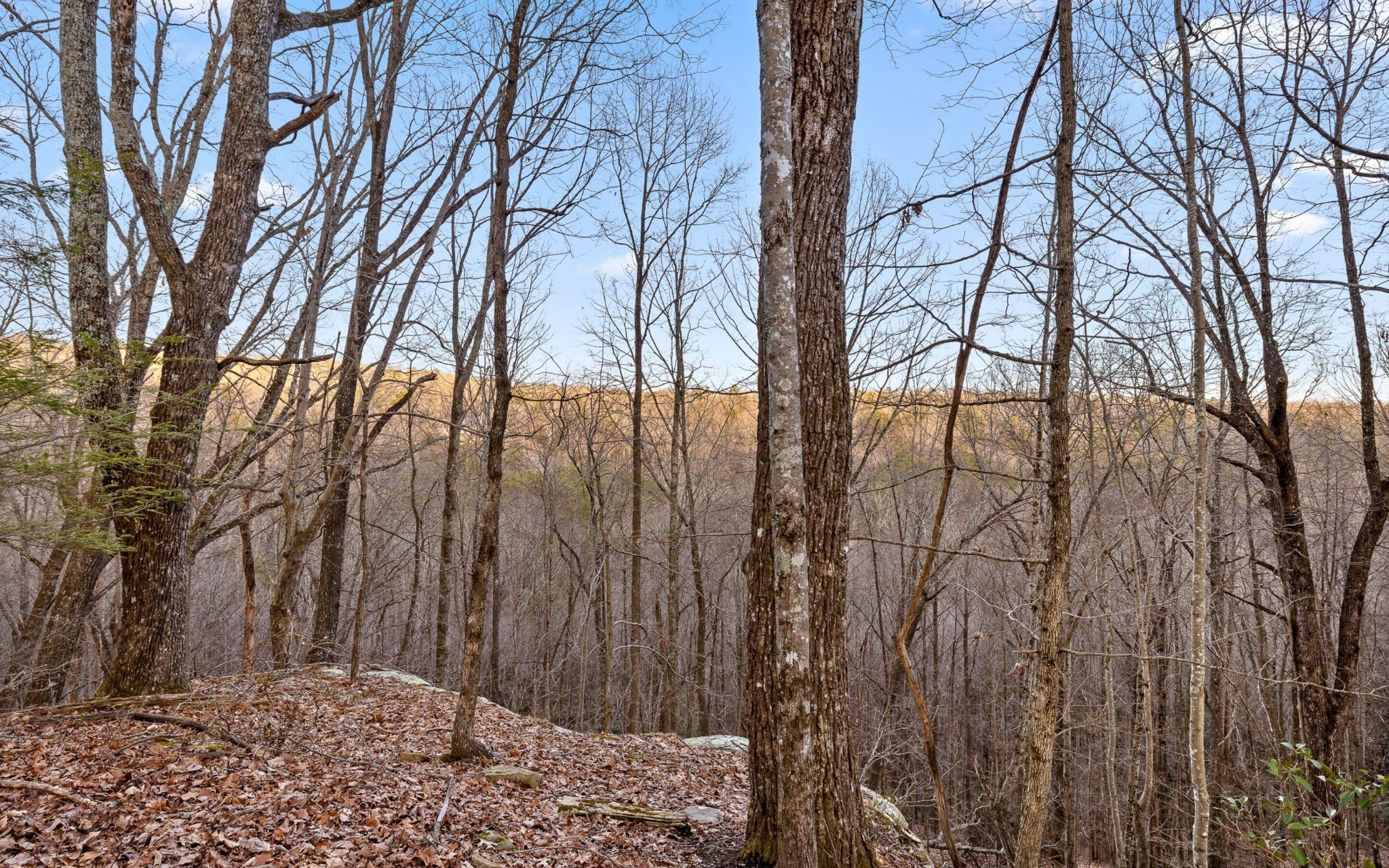 126 Stone Bridge Trail, W Property Photo 55