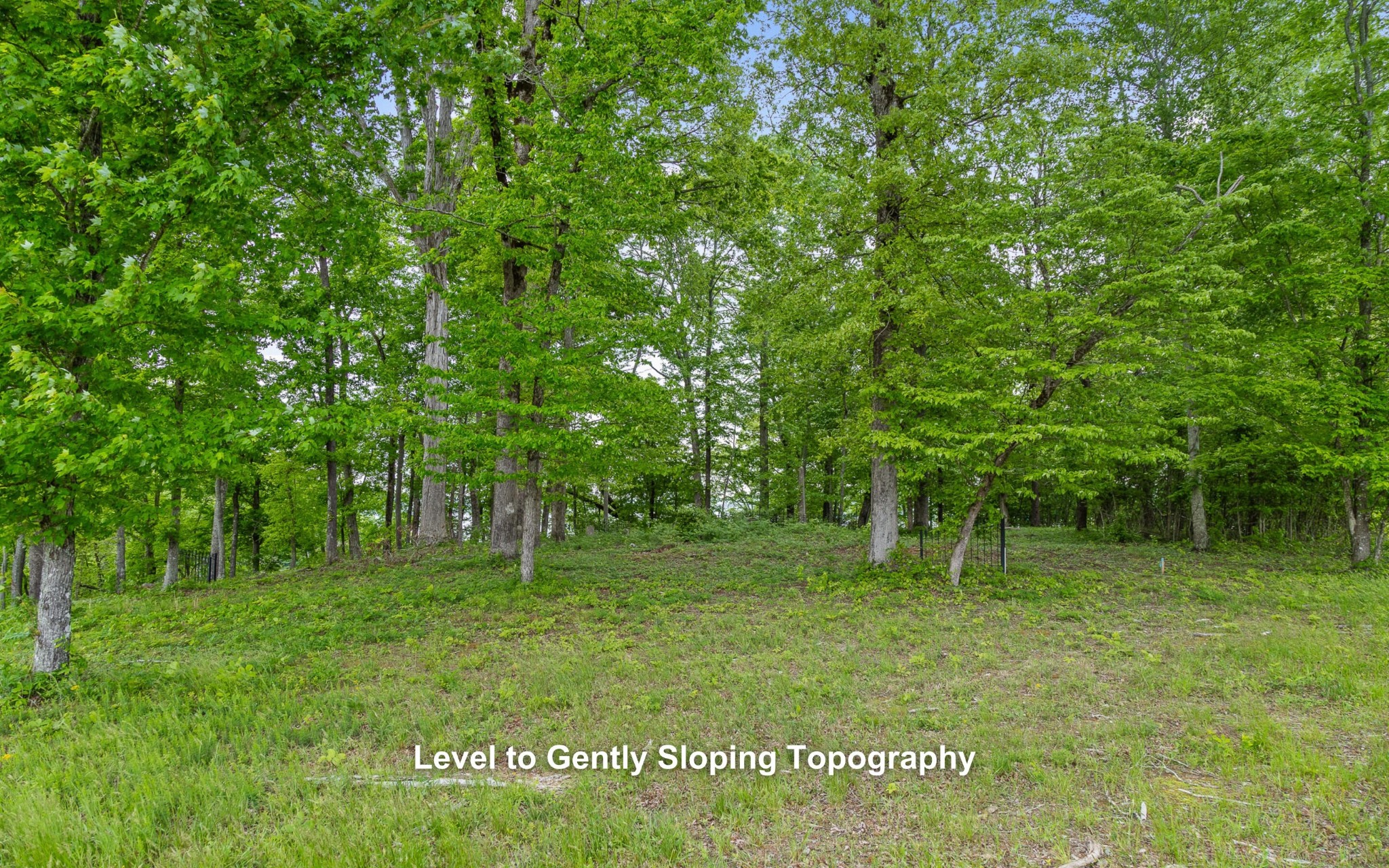 15913 Channel Pointe Drive Property Photo 16