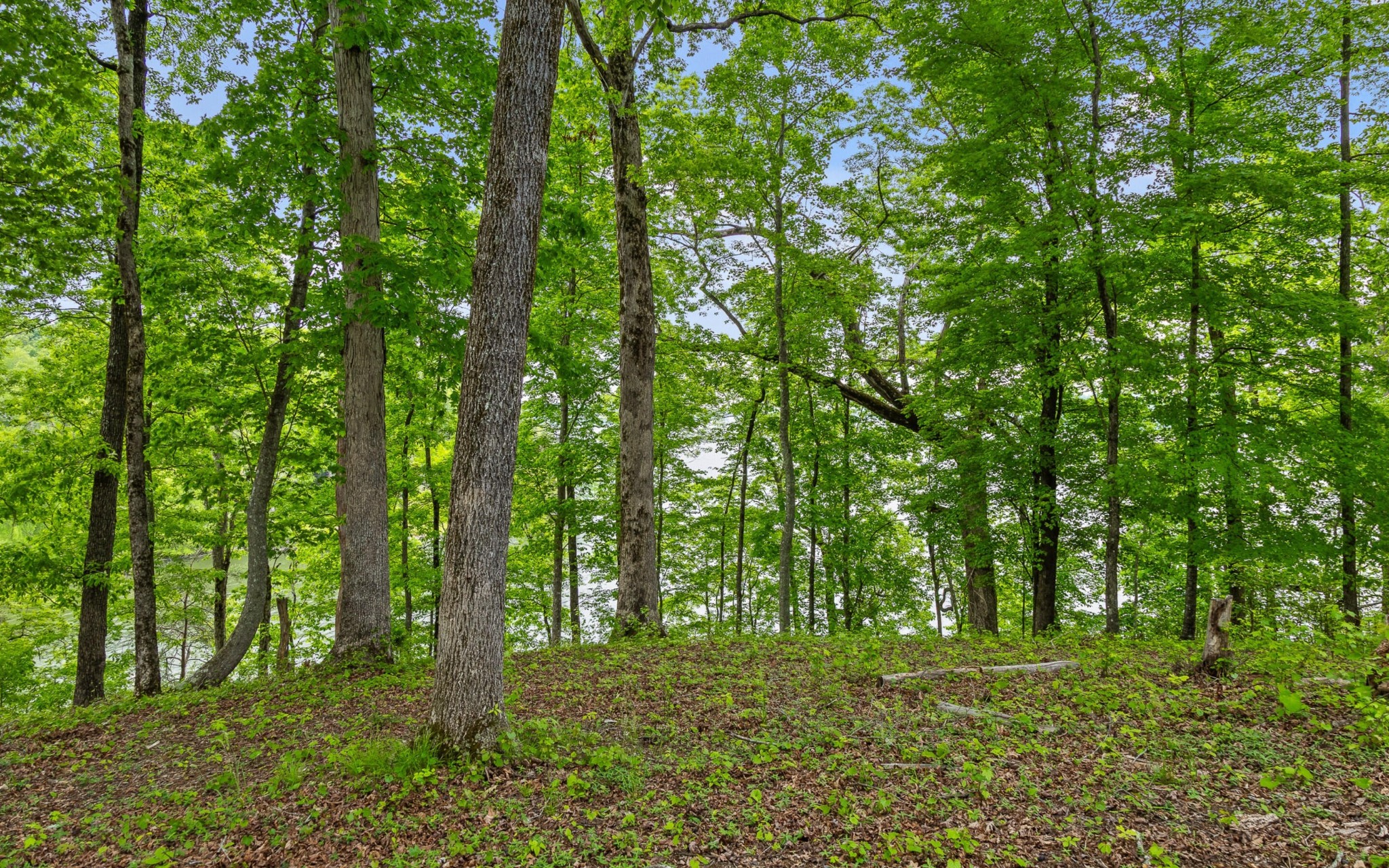 15913 Channel Pointe Drive Property Photo 19