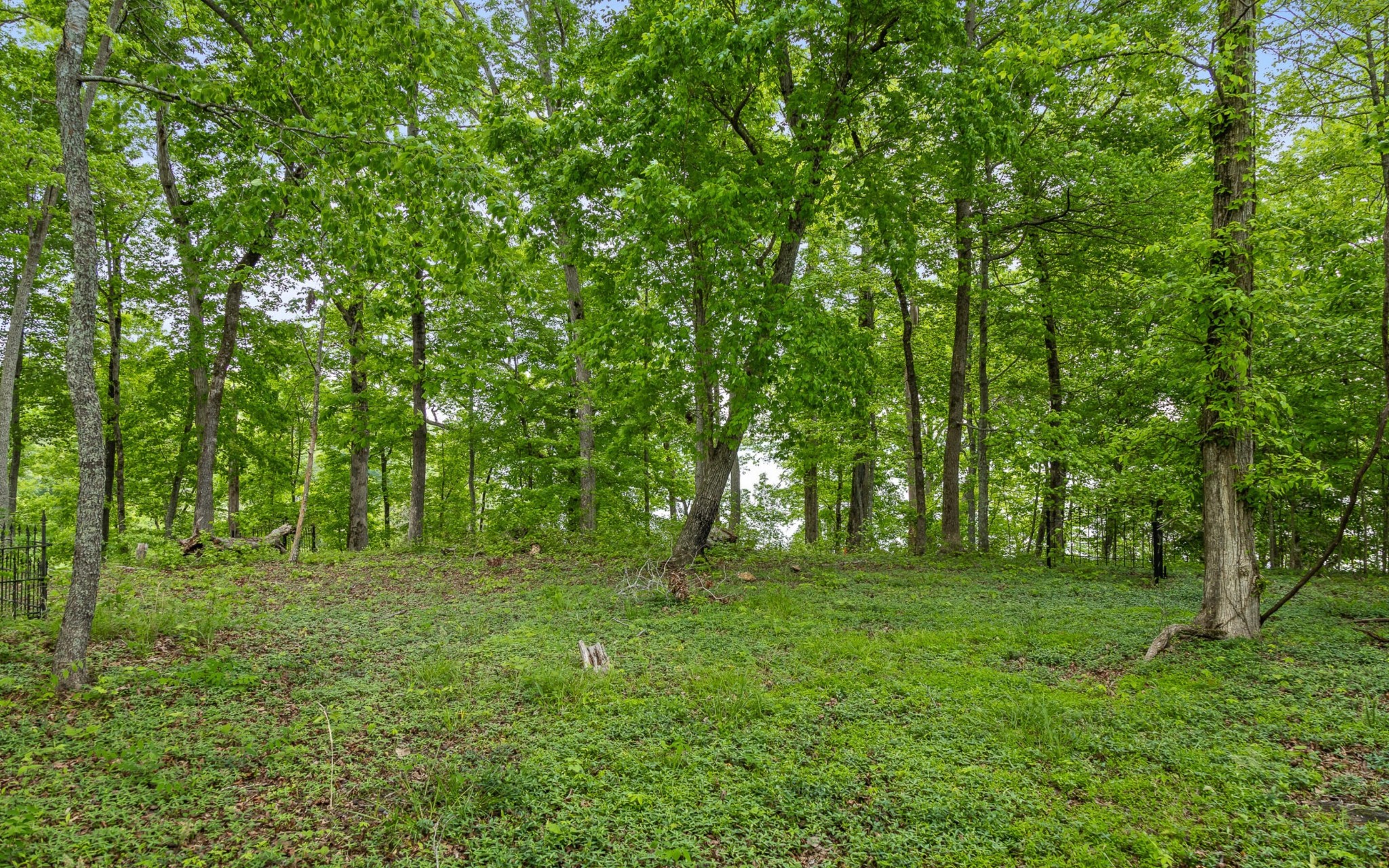 15913 Channel Pointe Drive Property Photo 20