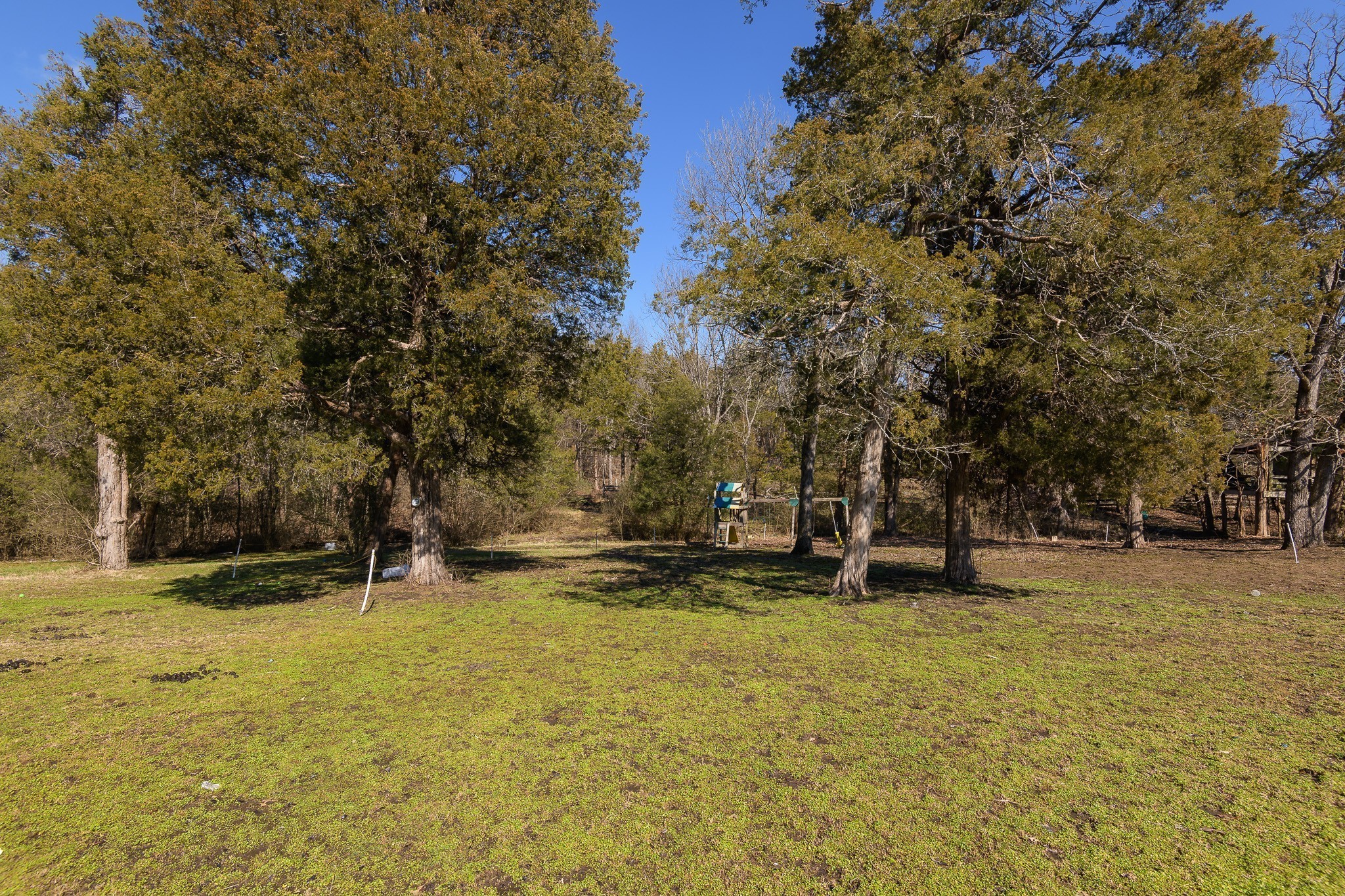 2413 Highway 109, N Property Photo 13