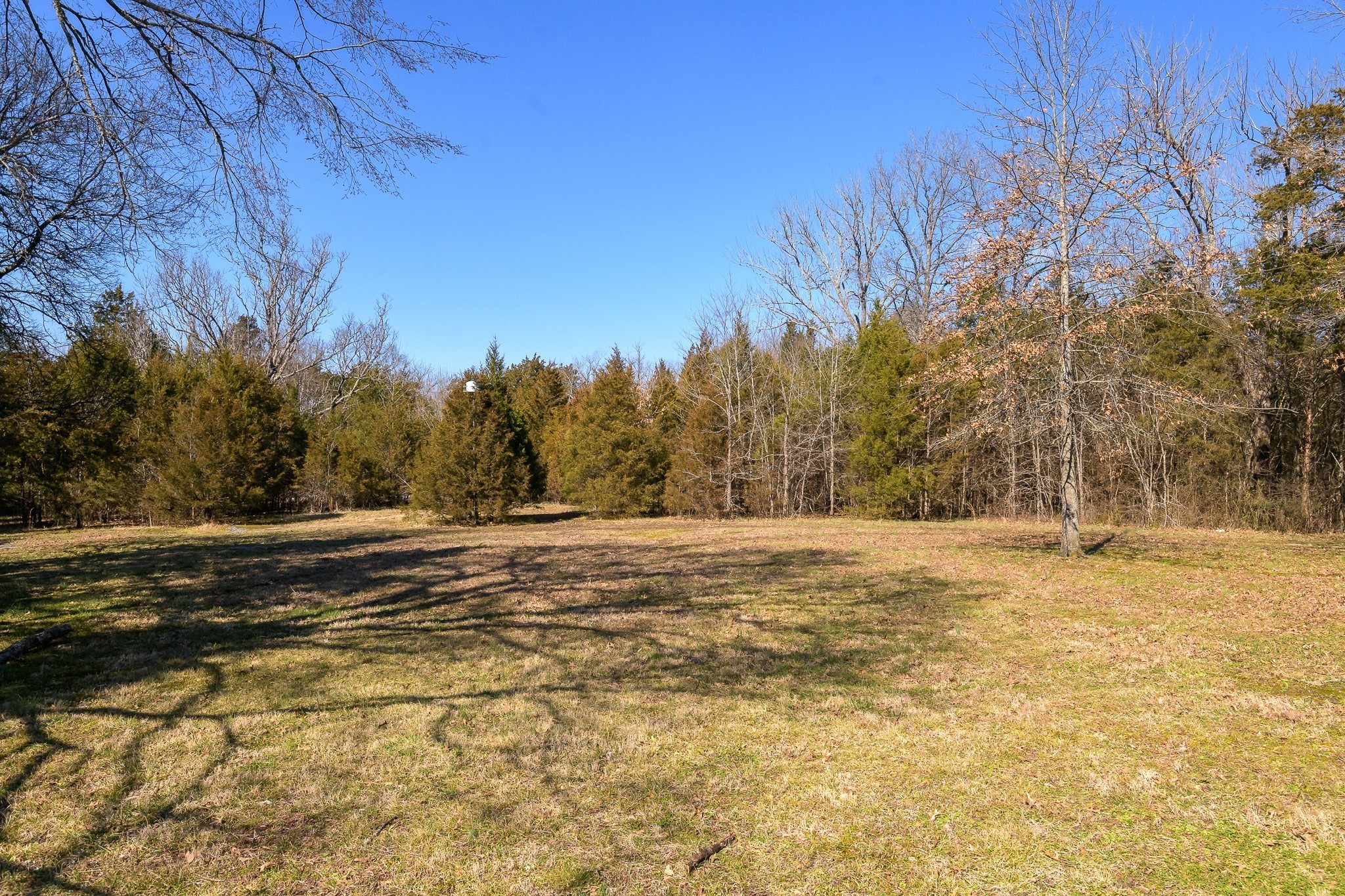 2413 Highway 109, N Property Photo 14