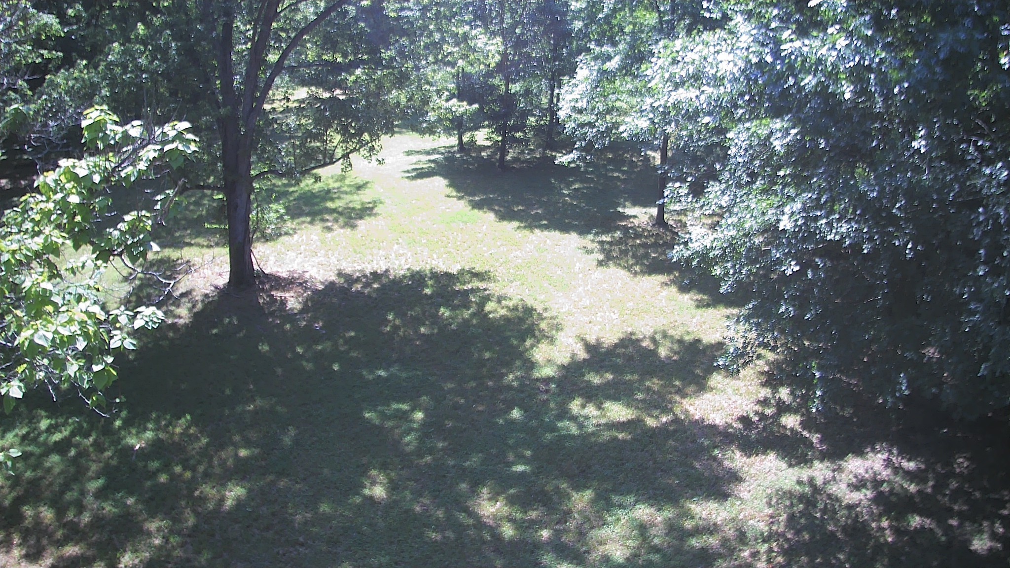 0 Sauger Dr Property Photo 8