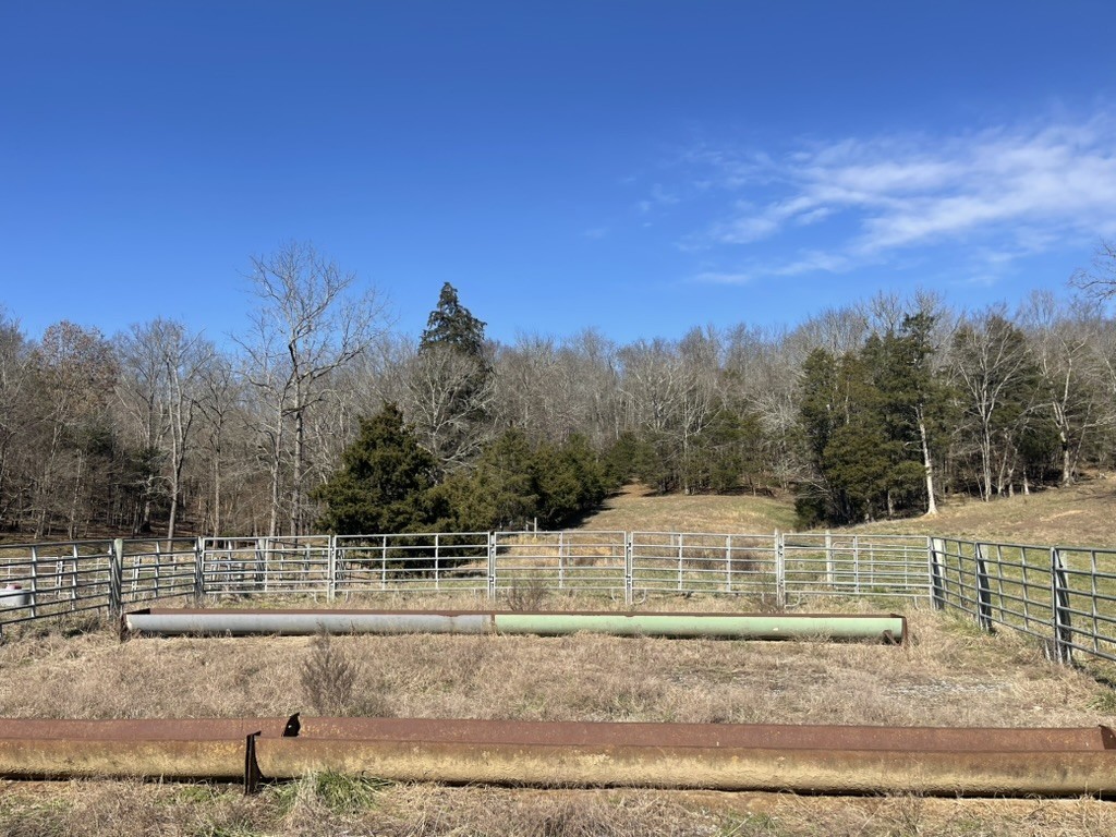 501 Gray Rd Property Photo 35