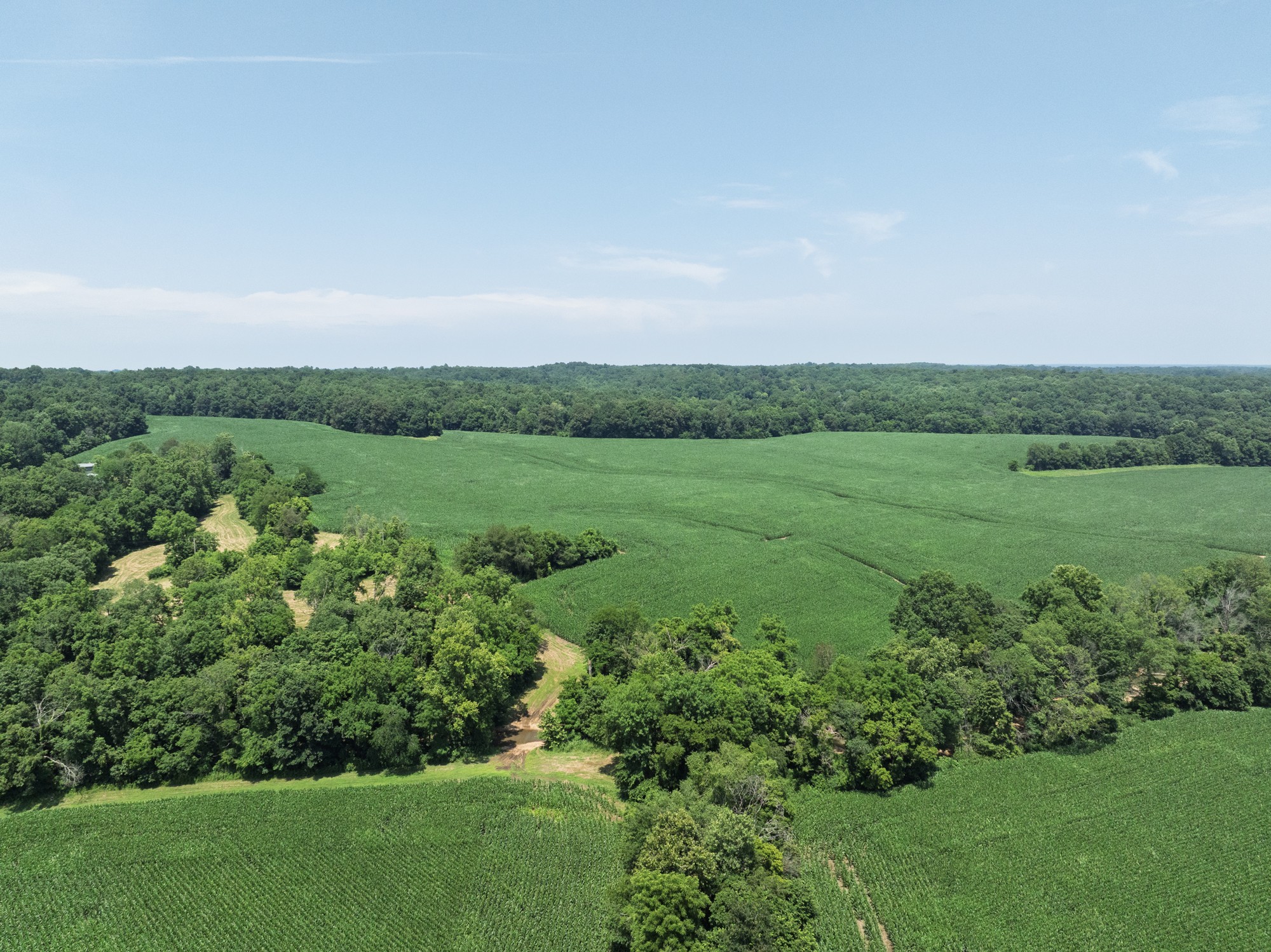 4801 Highway 48 Property Photo 5